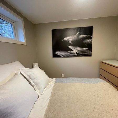 A, The Far End Of Lofoten, Top Apartment. Sorvagen Luaran gambar