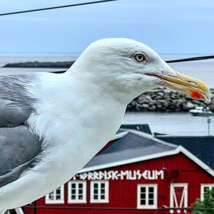 A, The Far End Of Lofoten, Top Apartment. Sorvagen Luaran gambar